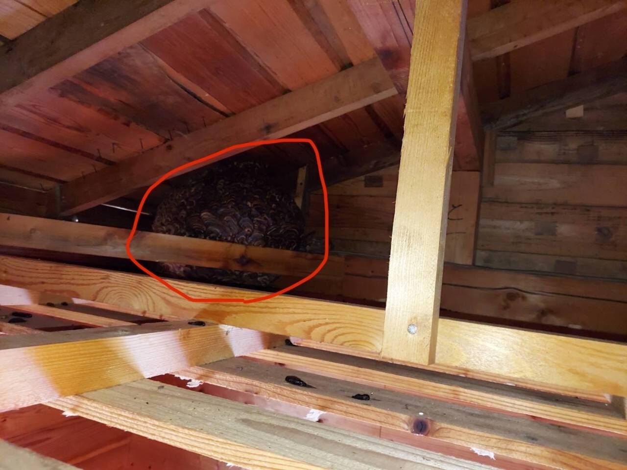 中津川　別荘リフォーム　解体が始まりました