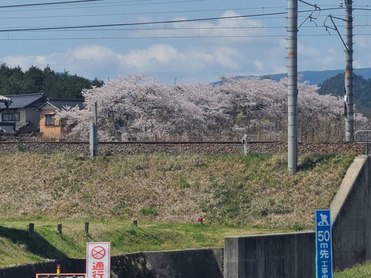 ちょっと遅くなりました